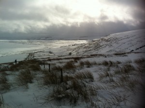 whernside and clara in wales feb 2013 (6)