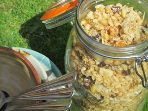 no bake granola (640x480)