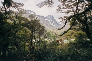 routeburn 