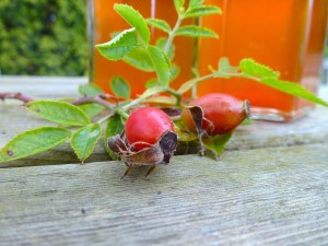 climbitrange rose hip syrup