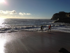 boxing day swim