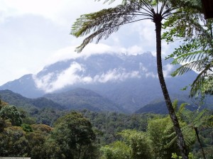 Mount-Kinabalu-National-Park-Borneo-Malaysia[1]
