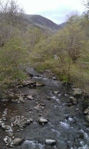 aber falls