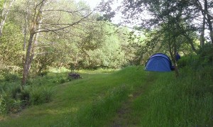 camping steamcombe farm exmoor