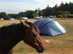 camping at Roundhill