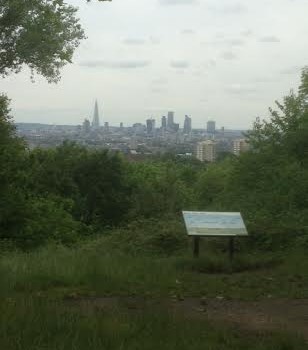 One Tree Hill: a natural vantage point for London’s skyline