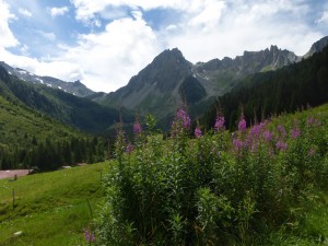 Tour de Mont Blanc4