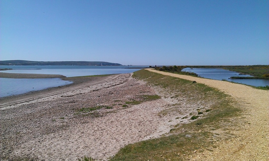 This image has an empty alt attribute; its file name is beach-and-needles-near-pennington-and-oxey-marsh-1024x614.jpg