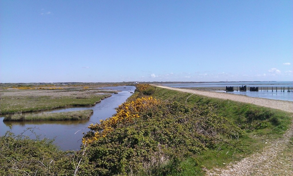 This image has an empty alt attribute; its file name is pennington-marshes-1024x614.jpg