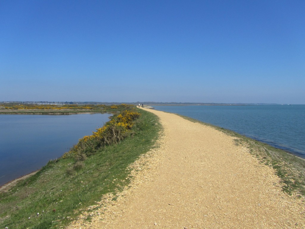 This image has an empty alt attribute; its file name is wall-solent-and-oxey-lagoon-Copy-1024x768.jpg