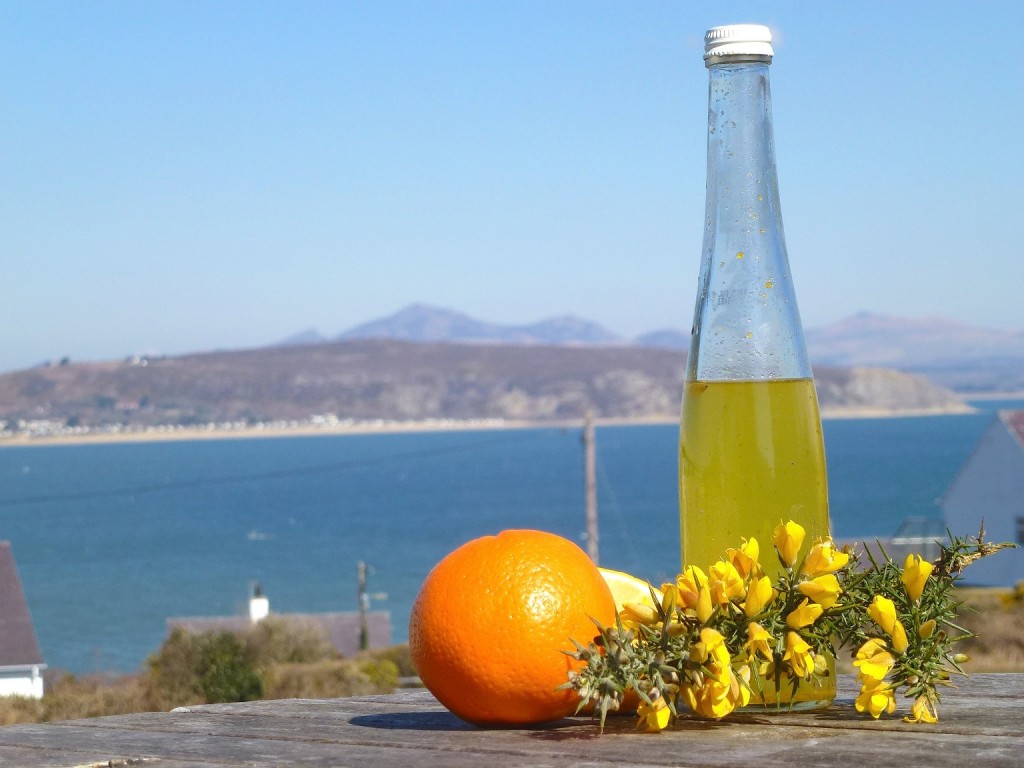 Gorse flower syrup