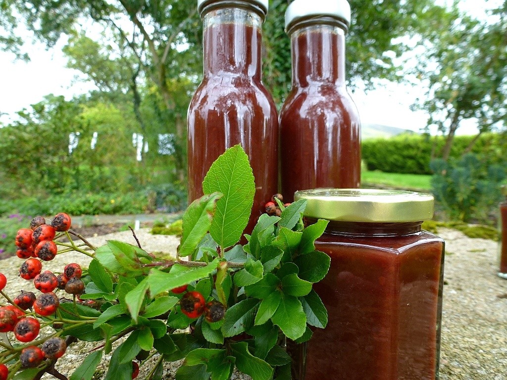 Hawthorn ketchup