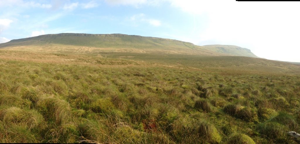 pic 6 The ridge between Pen y Ghent and Plover Hill