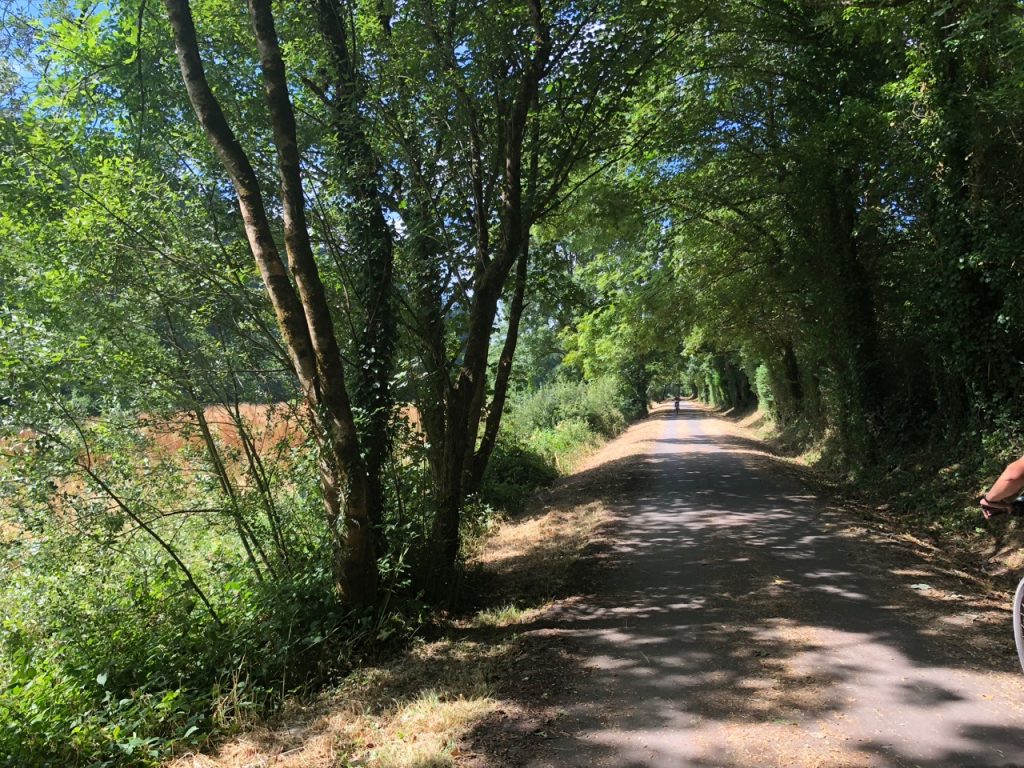 Cycling the Camel Trail - Padstow- Bodmin - Climb it Range