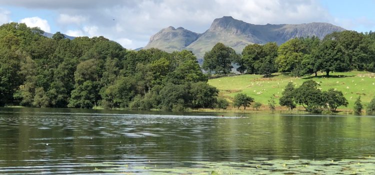 A day out at Loughrigg and Skelwith Bridge