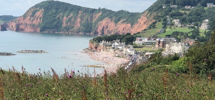 Views of Sidmouth