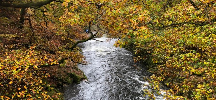 Autumn colour in the Lake District