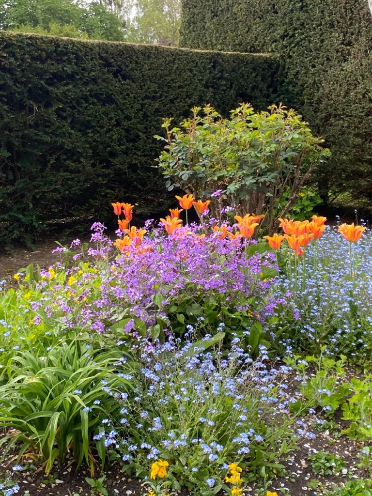  Loseley Park garden in Surrey is one of the lesser known gardens in the UK but is really worth a visit.