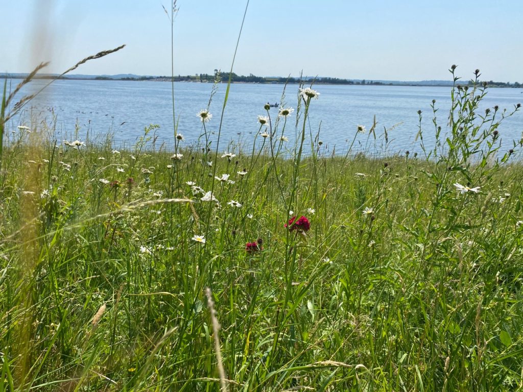 Draycote water