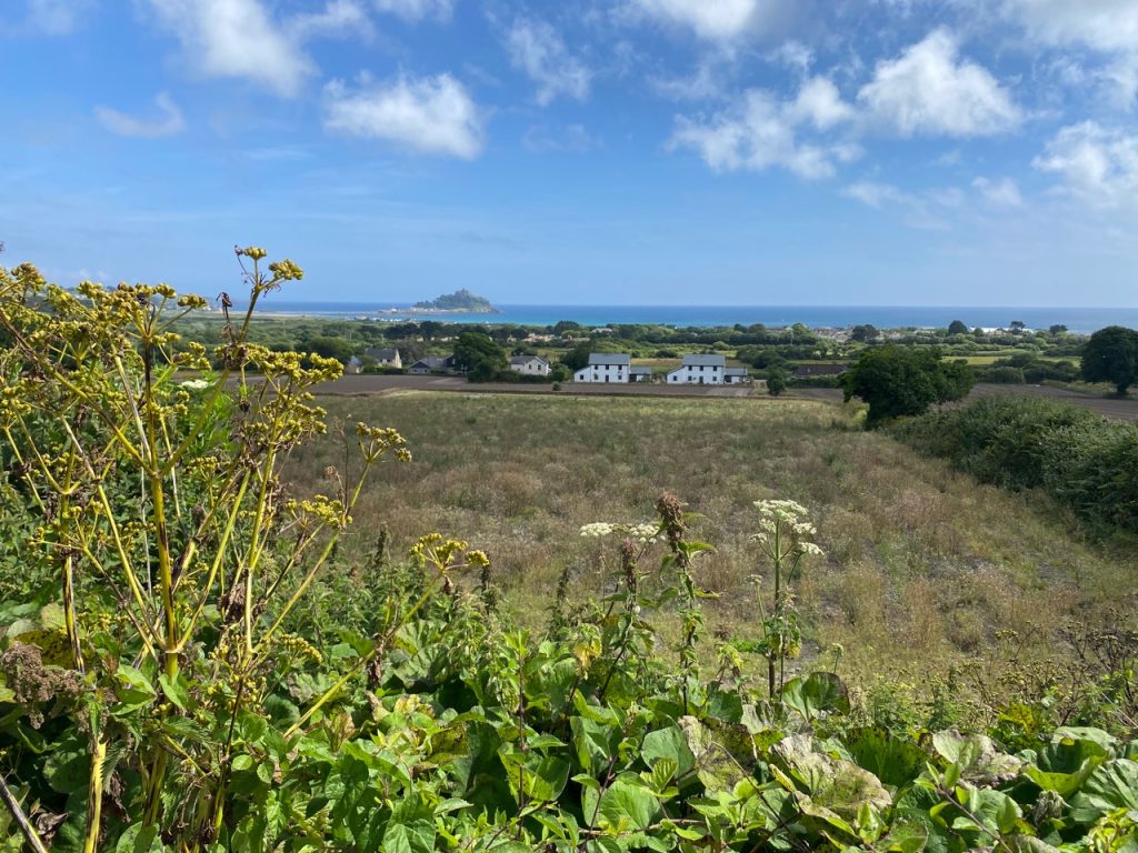 view of St Michaels Mount Marazion