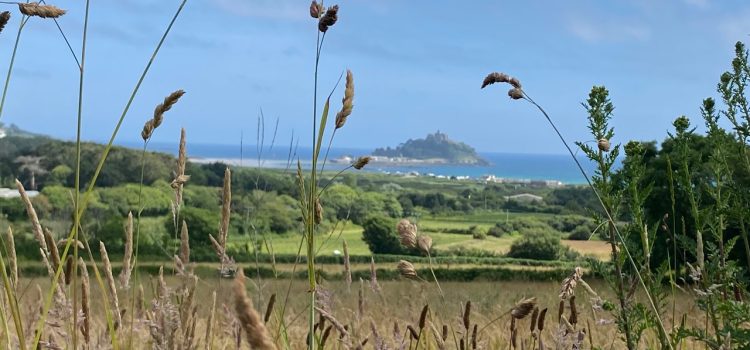 A circular walk from Marazion with spectacular views of St Michael’s Mount, taking in a visit to the Tremenheere Sculpture Gardens.