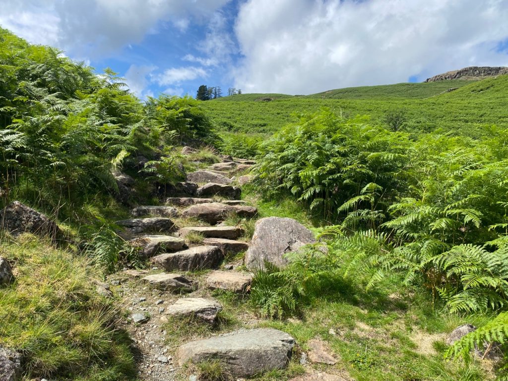 
sweden bridge walk ambelside