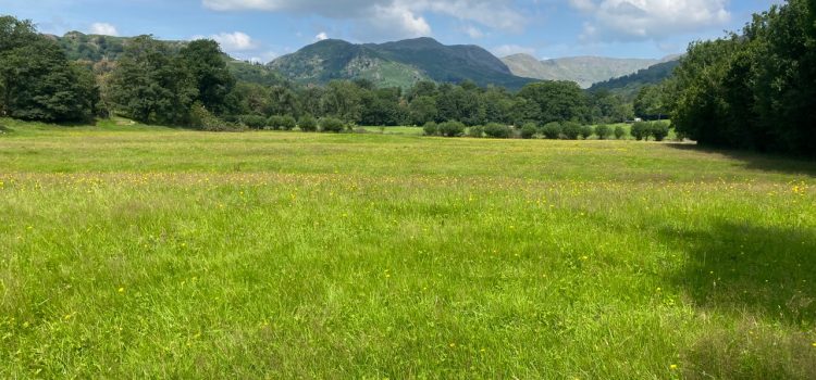 A summer walk from Ambelside in the Lake District