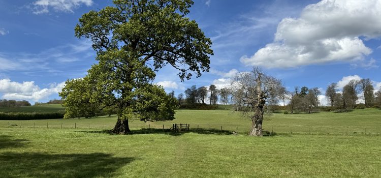 A circular walk from Badby, Northamptonshire