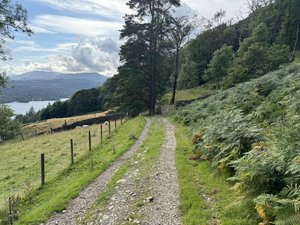 BETWEEN TROUTBECK AND AMBELSIDE
