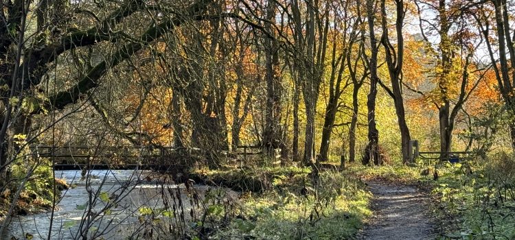 A spectacular circular walk from Hartington taking in Beresford Dale