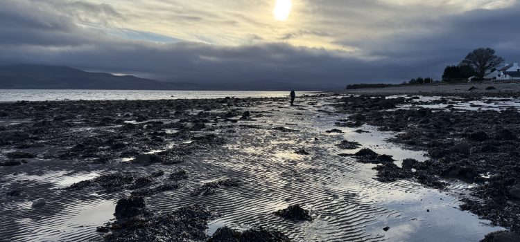 A Winter stroll along Beaumaris Beach