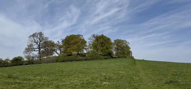 A walk to Cracks Hill along the Grand Union Canal in Crick Northamptonshire