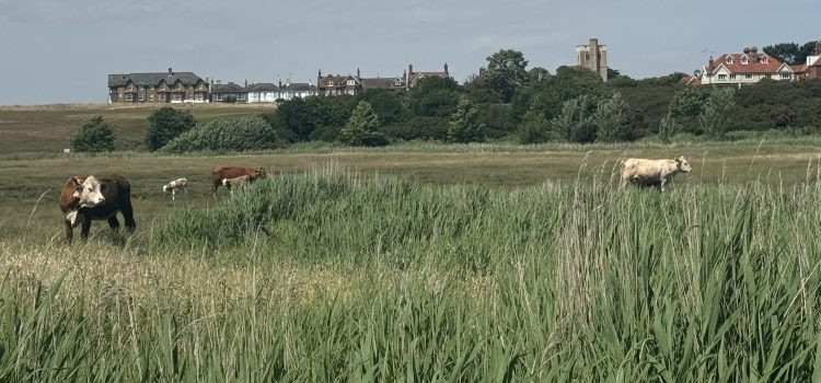 Southwold circular
