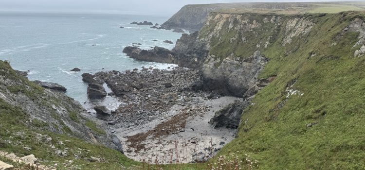 Our top three seal watching sites