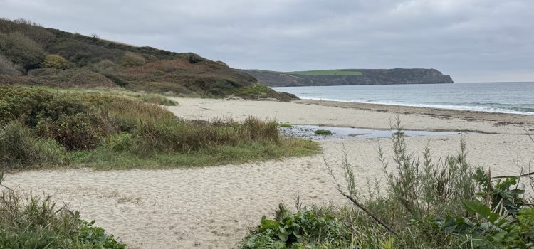 Four stunning coastal walks in South Cornwall Four stunning coastal walks in South Cornwall