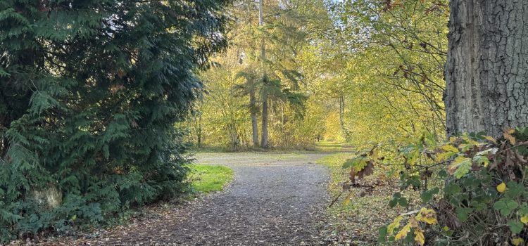 Warwickshire woodland walks Warwickshire woodland walks