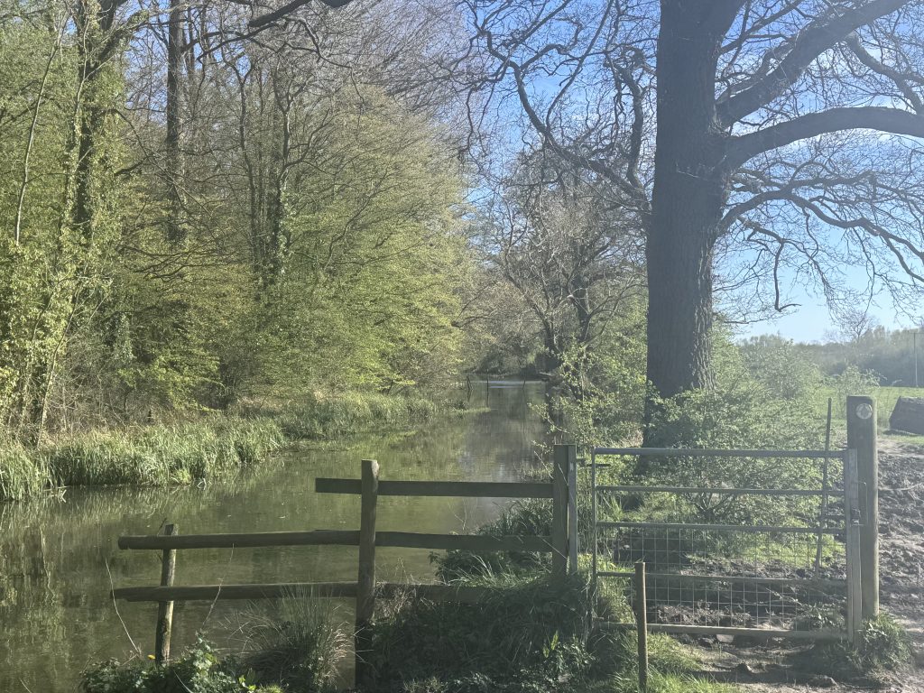 Swift Valley Nature Reserve