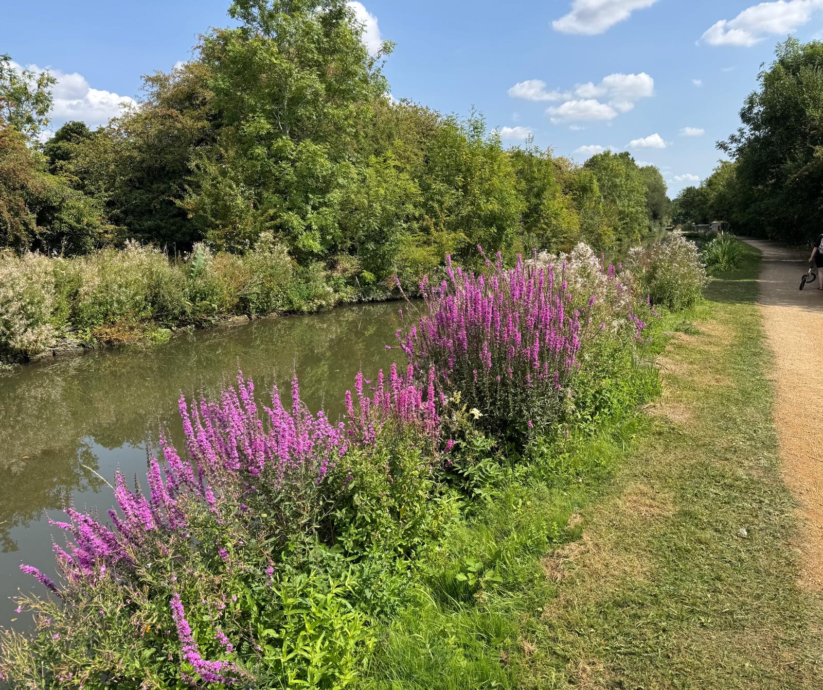 Oxford Canal