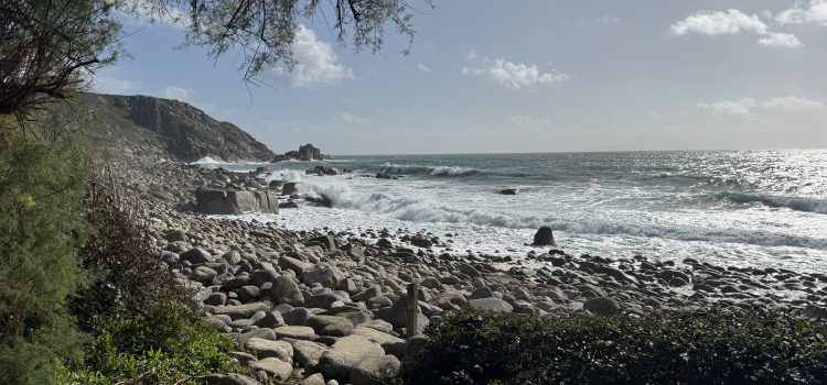 A circular walk through sheltered woodland to a secluded Cornish cove